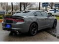 2017 Destroyer Grey Dodge Charger SE  photo #7