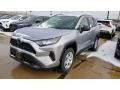 Silver Sky Metallic - RAV4 LE AWD Photo No. 1