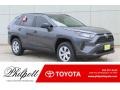 2019 Magnetic Gray Metallic Toyota RAV4 LE  photo #1
