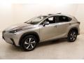 Atomic Silver 2019 Lexus NX 300 AWD Exterior