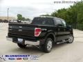 Black - F150 XLT SFE SuperCrew Photo No. 3