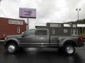 Magnetic Metallic - F450 Super Duty Platinum Crew Cab 4x4 Photo No. 2