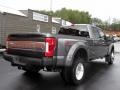 Magnetic Metallic - F450 Super Duty Platinum Crew Cab 4x4 Photo No. 5