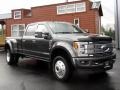 Magnetic Metallic - F450 Super Duty Platinum Crew Cab 4x4 Photo No. 7