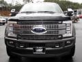 Magnetic Metallic - F450 Super Duty Platinum Crew Cab 4x4 Photo No. 8