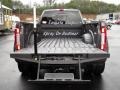 Magnetic Metallic - F450 Super Duty Platinum Crew Cab 4x4 Photo No. 10