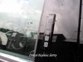 Magnetic Metallic - F450 Super Duty Platinum Crew Cab 4x4 Photo No. 28
