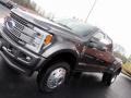 Magnetic Metallic - F450 Super Duty Platinum Crew Cab 4x4 Photo No. 36