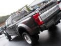 Magnetic Metallic - F450 Super Duty Platinum Crew Cab 4x4 Photo No. 39