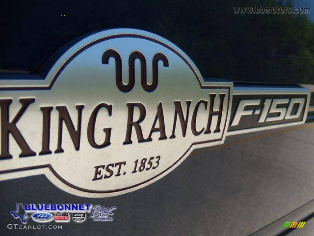 2009 F150 King Ranch SuperCrew 4x4 - Dark Blue Pearl Metallic / Camel/Tan photo #56