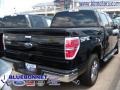 2009 Black Ford F150 XLT SFE SuperCrew  photo #3