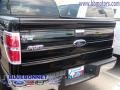 2009 Black Ford F150 XLT SFE SuperCrew  photo #4