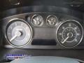 Brilliant Silver Metallic - Flex SEL Photo No. 10