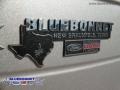 Brilliant Silver Metallic - Flex SEL Photo No. 13