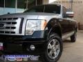 2009 Brilliant Silver Metallic Ford F150 FX4 SuperCrew 4x4 Regency Remington  photo #7