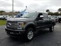 Magnetic - F350 Super Duty Platinum Crew Cab 4x4 Photo No. 1