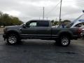 Magnetic - F350 Super Duty Platinum Crew Cab 4x4 Photo No. 2