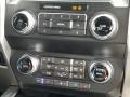 Magnetic - F350 Super Duty Platinum Crew Cab 4x4 Photo No. 16