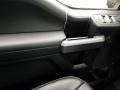 Magnetic - F350 Super Duty Platinum Crew Cab 4x4 Photo No. 17