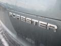 2009 Sage Green Metallic Subaru Forester 2.5 X Premium  photo #3