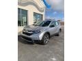 Lunar Silver Metallic - CR-V LX AWD Photo No. 2