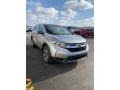 Lunar Silver Metallic - CR-V LX AWD Photo No. 4