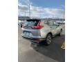Lunar Silver Metallic - CR-V LX AWD Photo No. 5
