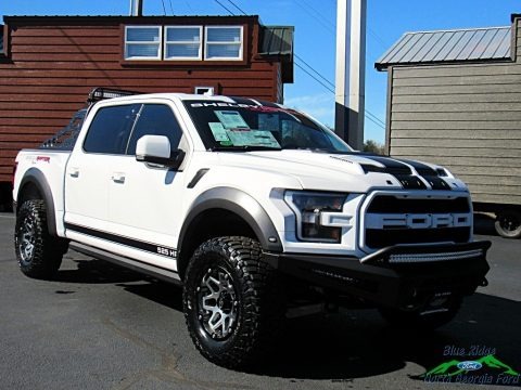 2019 Ford F150 Shelby BAJA Raptor SuperCrew 4x4 Data, Info and Specs