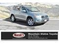 2008 Everglade Metallic Toyota RAV4 Limited V6 4WD  photo #1