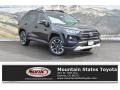 2019 Midnight Black Metallic Toyota RAV4 Adventure AWD  photo #1