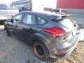 Magnetic - Focus ST Hatch Photo No. 3