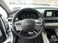Gray Steering Wheel Photo for 2020 Kia Telluride #132283369