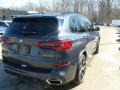 Arctic Grey Metallic - X5 xDrive50i Photo No. 2