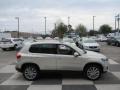 Reflex Silver Metallic - Tiguan SE Photo No. 3