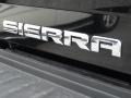Onyx Black - Sierra 2500HD Denali Crew Cab 4WD Photo No. 9