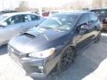 Dark Gray Metallic - WRX Premium Photo No. 5
