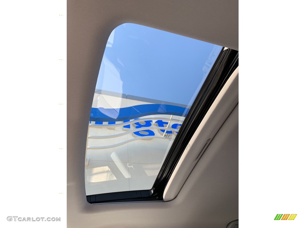 2019 Pilot EX-L AWD - Steel Sapphire Metallic / Gray photo #49