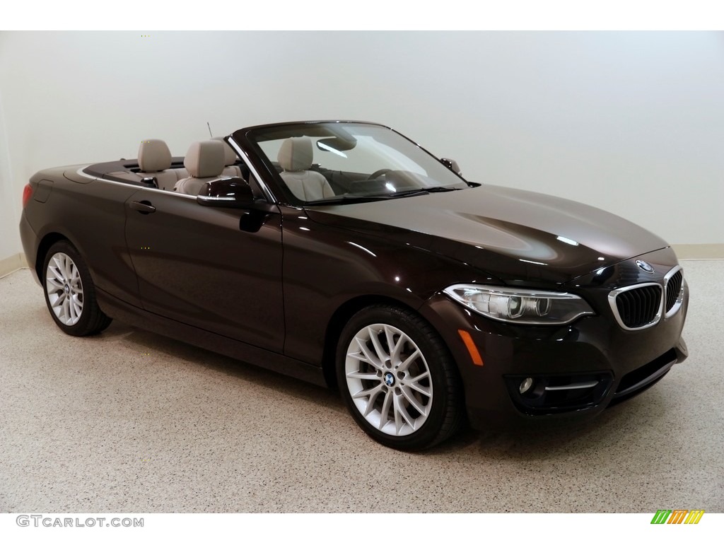2016 2 Series 228i xDrive Convertible - Sparkling Brown Metallic / Oyster photo #1
