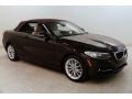 2016 Sparkling Brown Metallic BMW 2 Series 228i xDrive Convertible  photo #2