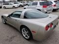 2001 Quicksilver Metallic Chevrolet Corvette Coupe  photo #6