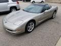 2001 Quicksilver Metallic Chevrolet Corvette Coupe  photo #7