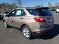 Sandy Ridge Metallic - Equinox LS AWD Photo No. 4