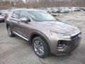 2019 Earthy Bronze Hyundai Santa Fe SEL Plus AWD  photo #3