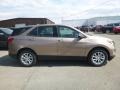 2019 Sandy Ridge Metallic Chevrolet Equinox LS  photo #6