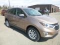 2019 Sandy Ridge Metallic Chevrolet Equinox LS  photo #7