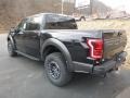 2019 Agate Black Ford F150 SVT Raptor SuperCrew 4x4  photo #3