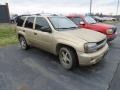 2006 Sandstone Metallic Chevrolet TrailBlazer LS 4x4  photo #3