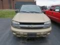 2006 Sandstone Metallic Chevrolet TrailBlazer LS 4x4  photo #4