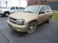 2006 Sandstone Metallic Chevrolet TrailBlazer LS 4x4  photo #5