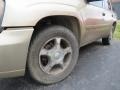 2006 Sandstone Metallic Chevrolet TrailBlazer LS 4x4  photo #6